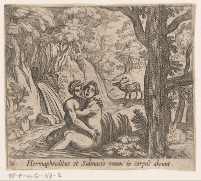 Salmacis och Hermafroditus Hermafroditus och Salmacius lämnar som en kropp (titel på objekt) Metamorfoseon eller transformationer (serietitel) Metamorfosen van Ovidius (serietitel) av Antonio Tempesta