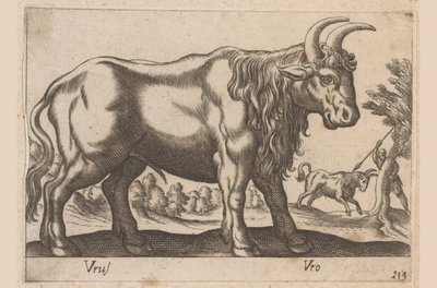 Tjur Vrus/ Vro (titel på objekt) Dieren en fablewezens (serietitel) Ny samling av världens mest nyfikna djur (serietitel) av Antonio Tempesta