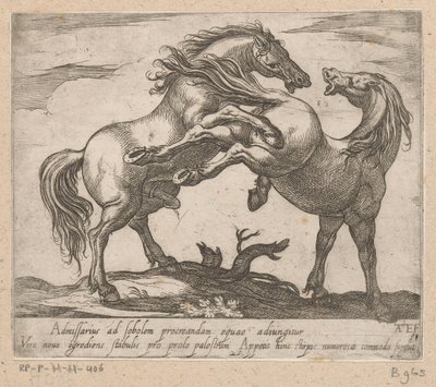 Två parende paarden Paarden uit verschiedelde landen (serietitel) Med dessa ledare kommer du att firas som en ledare med en viroru-mun. av Antonio Tempesta