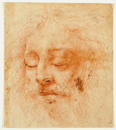 Chef för en sovande man av Antonio da Correggio