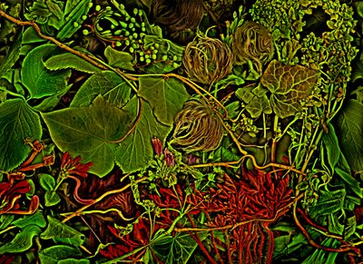  av Antonius Antonius