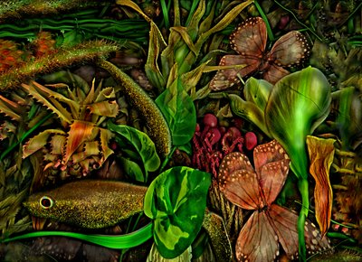  av Antonius Antonius