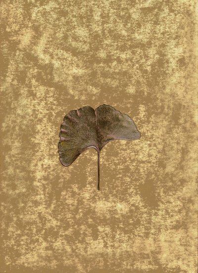  av Antonius Antonius