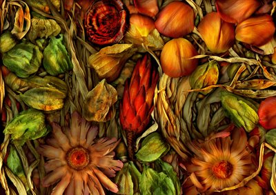  av Antonius Antonius