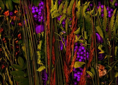  av Antonius Antonius