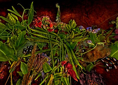  av Antonius Antonius