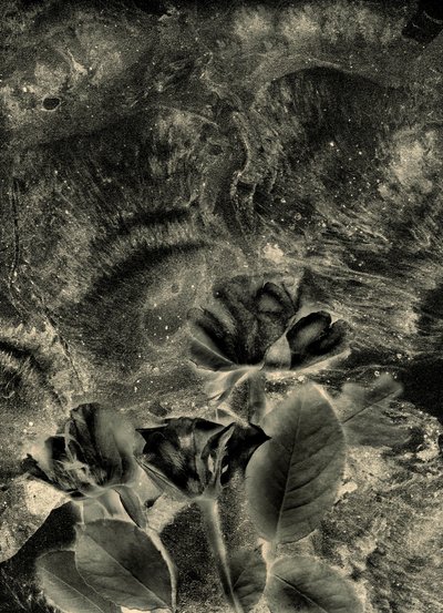  av Antonius Antonius