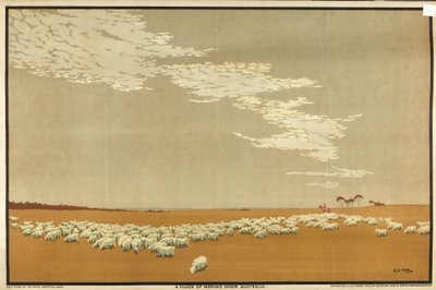 A Flock of Merino Sheep - Australien, från serien 
