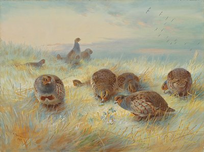 En frostig gryning av Archibald Thorburn
