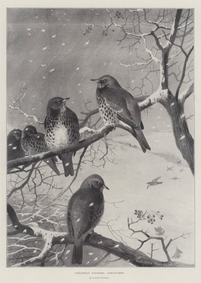 Julbesökare, åkerfar av Archibald Thorburn
