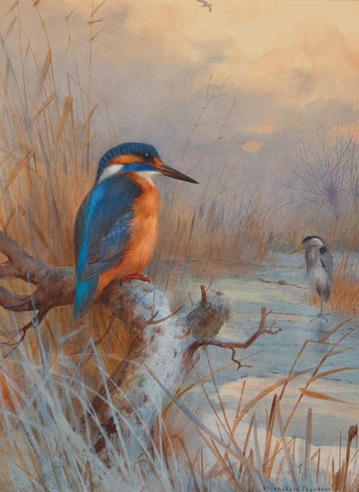  av Archibald Thorburn