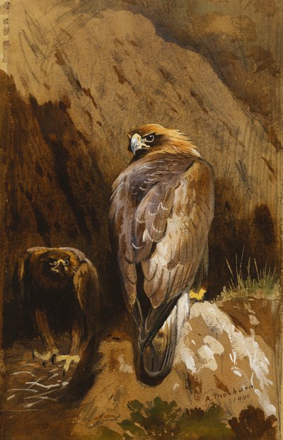 Golden Eagles på deras Eyrie av Archibald Thorburn