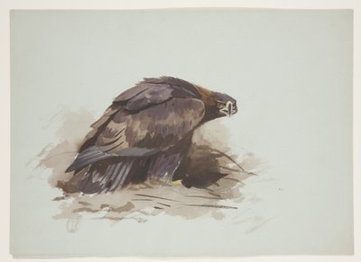Kungsörn, ca 1915 (akvarell & kroppsfärg över penna på papper) av Archibald Thorburn