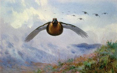 Grouse in Flight av Archibald Thorburn