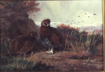 Ripa i ett vinterlandskap av Archibald Thorburn