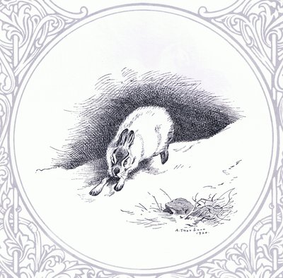 Mountain Hare, pub. av Book Club Associates av Archibald Thorburn