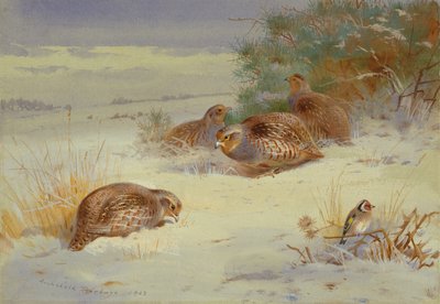  av Archibald Thorburn