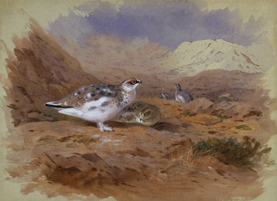 Ptarmigan in a Highland Landscape (akvarell) av Archibald Thorburn