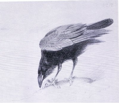 Raven, pub. av Book Club Associates av Archibald Thorburn