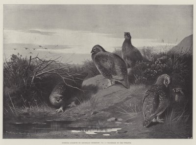 Idrottsämnen, gryningen den tolfte av Archibald Thorburn