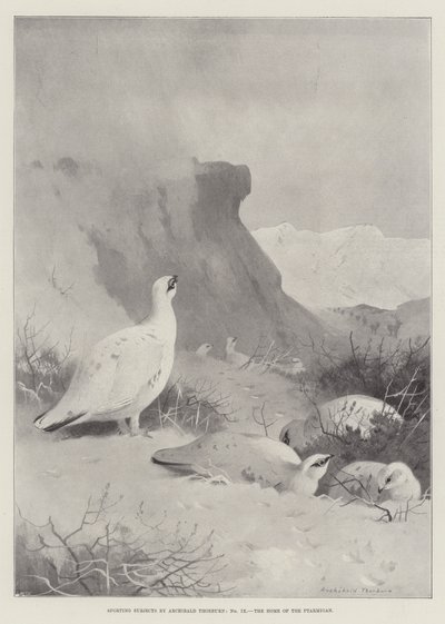 Mataupu tau Ta