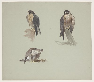 Tre färgskisser av pilgrimsman, ca 1915 (akvarell & kroppsfärg över penna på papper) av Archibald Thorburn