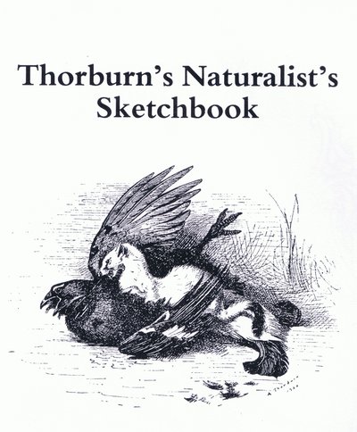 Titelsida (Stoat och Gamebird), pub. av Book Club Associates av Archibald Thorburn