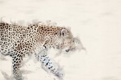 En elegant leopard i akvarell av Arno Du Toit