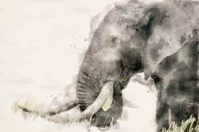 Fredlig elefant i akvarell av Arno Du Toit