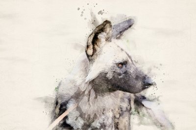 Vattenfärgsmålning av en fridfull vildhund av Arno Du Toit