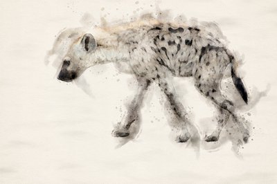 Akvarell av fläckhyena av Arno Du Toit