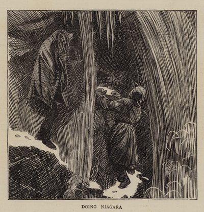 Gör Niagara av Arthur Boyd Houghton