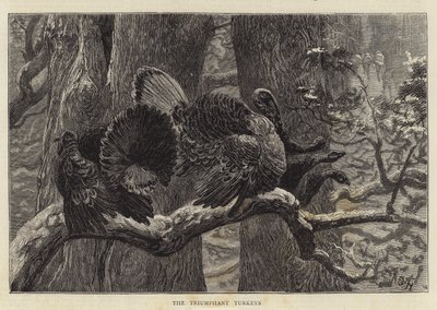 De triumferande kalkonerna av Arthur Boyd Houghton