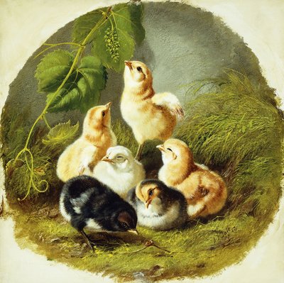 Kycklingar, 1863 av Arthur Fitzwilliam Tait