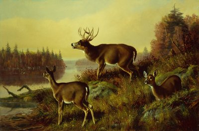 Utmaningen av Arthur Fitzwilliam Tait