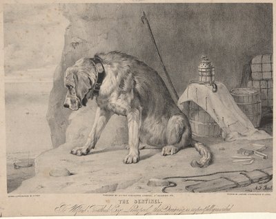 Sentineln av Arthur Fitzwilliam Tait