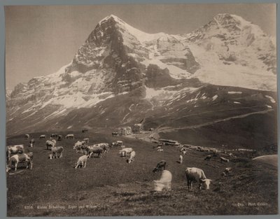 Kor på Kleine Scheidegg i Berner Oberland, i bakgrunden Eiger och Mönch Kleine Scheidegg, Eiger und Moench (titel på objekt) av Arthur Gabler