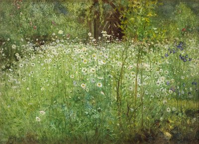 Oxeye Daisies and Irises, 1920 av Arthur Hacker