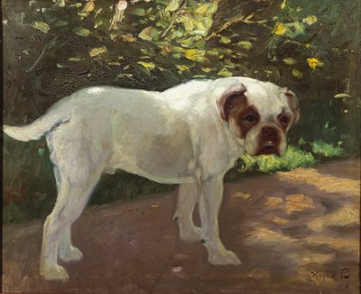 En bulldogg på en trädgårdsstig (olja på duk) av Arthur Heyer