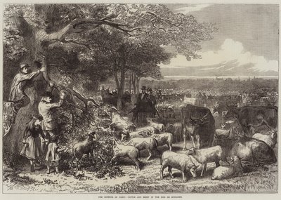 Försvaret av Paris, boskap och får i Bois de Boulogne av Arthur Hopkins