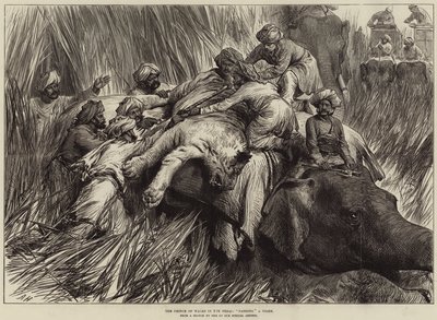 Prinsen av Wales i Terai, vadderar en tiger av Arthur Hopkins