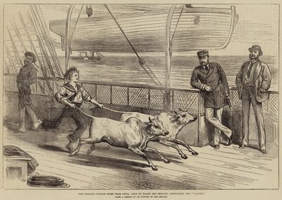 Prinsens resa hem från Indien, livet ombord på Serapis, utövandet av Gainees av Arthur Hopkins