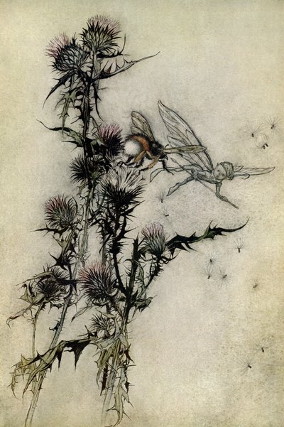 En midsommarnattsdröm av Arthur Rackham