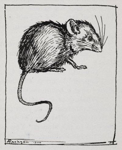 ねずみスウェーデン人 av Arthur Rackham