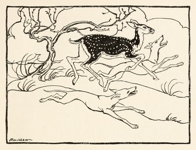 Becfola in her chariot från The Wooing of Becfola in Irish Fairy TalesSe besk. av Arthur Rackham
