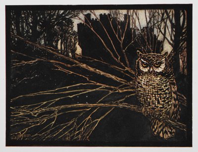 Illustration från Jorinda och Joringel av en skriande uggla. av Arthur Rackham