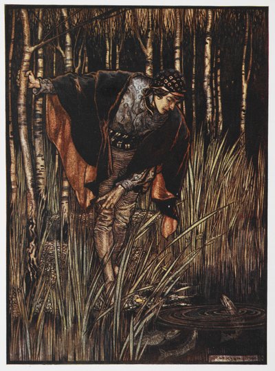 Illustration av en ungdom vid en damm från The White Snake. av Arthur Rackham