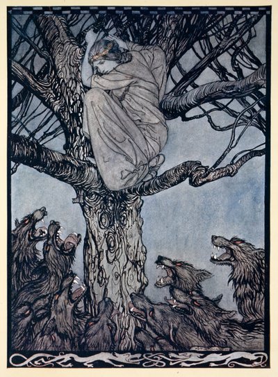 Hon såg med arg ve på den ansträngande och morrande horden nedan, illustration från "Irish Fairy Tales" av James Stephens av Arthur Rackham