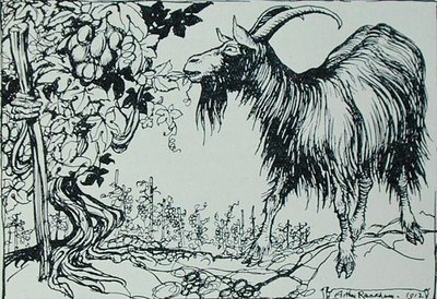 Geten och vinrankan, illustration från "Aesops fabler", utgiven av Heinemann av Arthur Rackham
