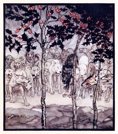 De stod utanför, fyllda av vildhet och skräck. från The Enchanted Cave of Cesh Corran i irländska sagor av Arthur Rackham
